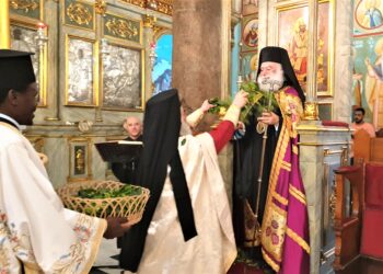 Patriarch of Alexandria: May joy of Resurrection drive away all clouds of pandemic